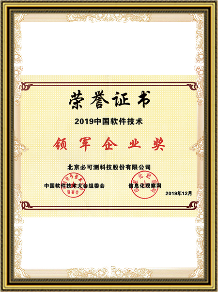 10China's Leading Software Technology Enterprise Award